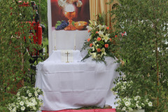 Boże Ciało 2016
